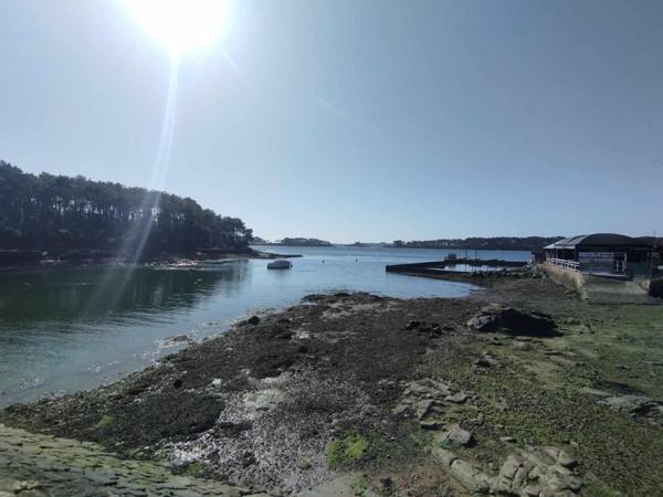 Terrain à BADEN, 56870 - 348m²