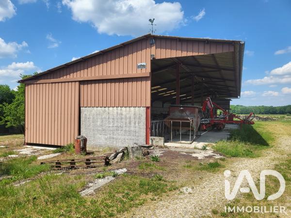 Terrain à vendre 3 251 m² Chaumesnil