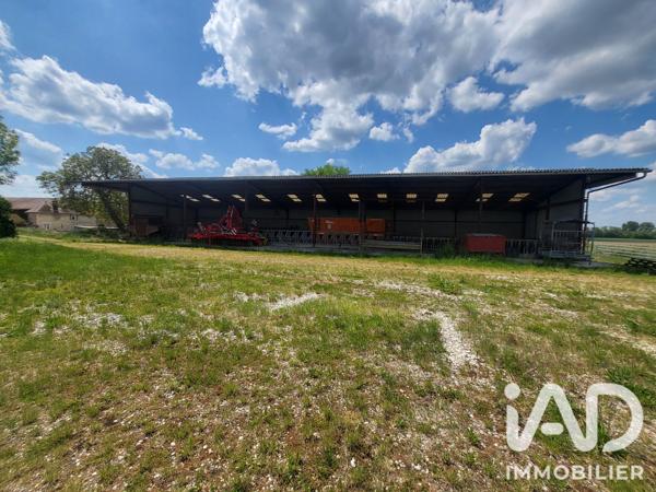 Terrain à vendre 3 251 m² Chaumesnil