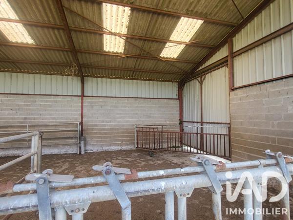 Terrain à vendre 3 251 m² Chaumesnil