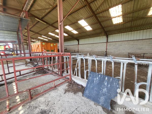 Terrain à vendre 3 251 m² Chaumesnil