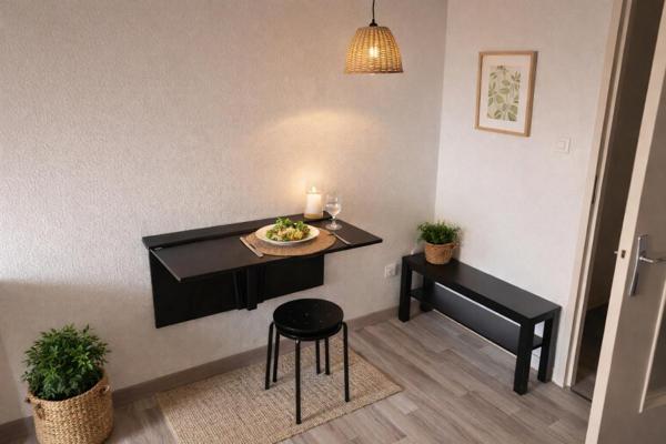 Appartement Olivet 1 pièce(s) 24 m2