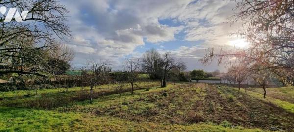 FRESSINES, terrain constructible d'environ 723 m²