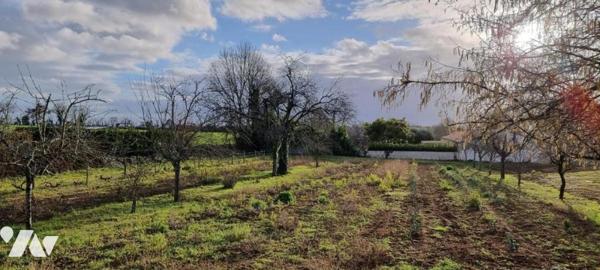 FRESSINES, terrain constructible d'environ 723 m²