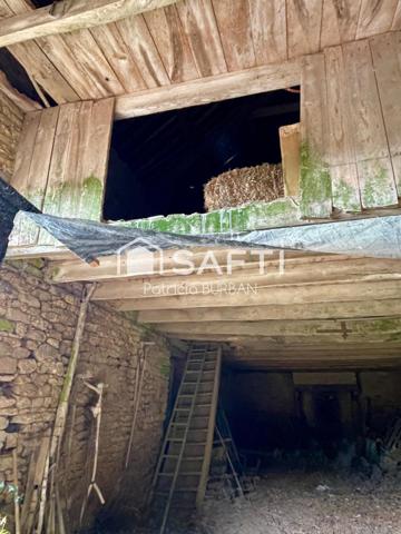 Corp de ferme  à Allaire avec 4 hectares attenants