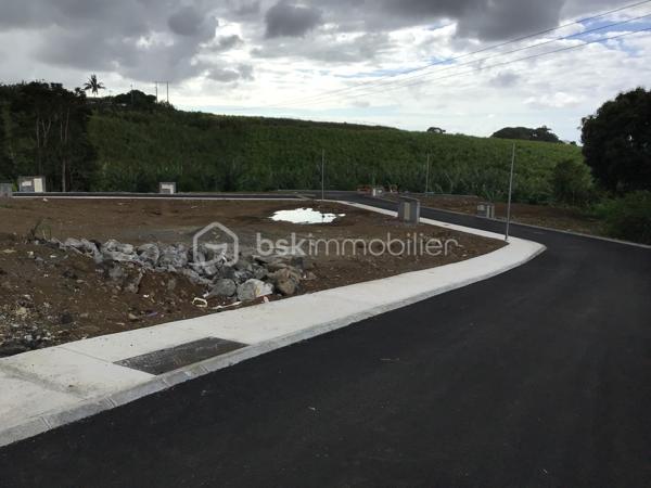 Lotissement de 260 m²