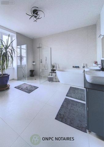 Propriete à vendre à Salles Arbuissonnas en Beaujolais dans le Rhône (69460), ref : 10013