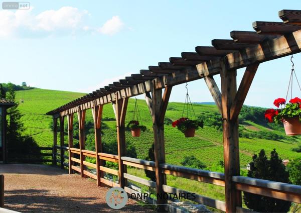 Propriete à vendre à Salles Arbuissonnas en Beaujolais dans le Rhône (69460), ref : 10013