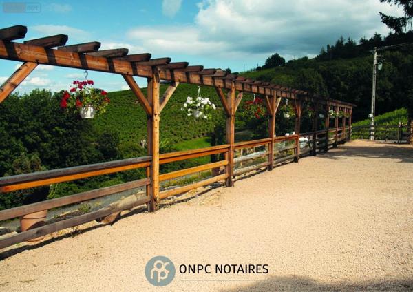 Propriete à vendre à Salles Arbuissonnas en Beaujolais dans le Rhône (69460), ref : 10013