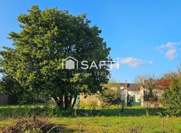 Maison de charme avec immense jardin piscinable