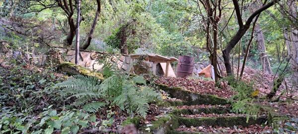 Petite propriété avec une maison et un chalet à CHALIFERT (77)