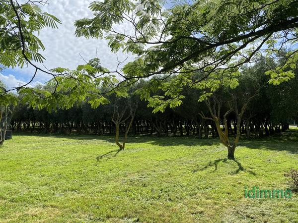 Ensemble de propriétés Mondragon (84430)