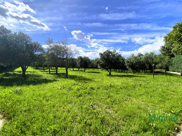 Ensemble de propriétés Mondragon (84430)