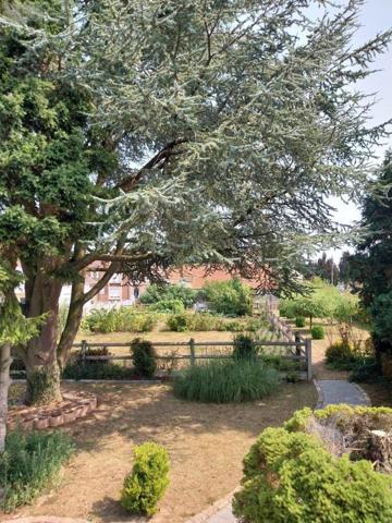 Maison à vendre à Aubigny-en-Artois dans le Pas-de-Calais (62690), ref : 62113-1210