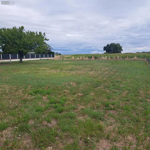 Location - Maison Châtenoy-en-Bresse 71380 5 pièces 111 m 2 1507 m 2