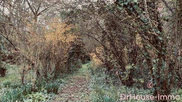 Maison à vendre 9 pièces de 412 m²