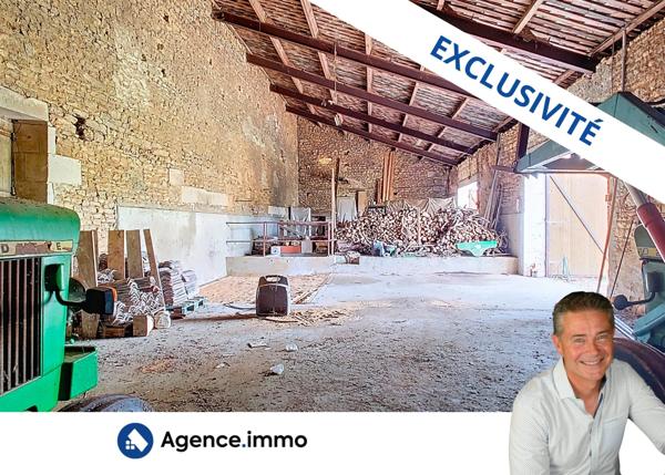 À vendre - Maison de maître, 17 pièces situé à Cravans (17260)