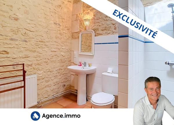 À vendre - Maison de maître, 17 pièces situé à Cravans (17260)