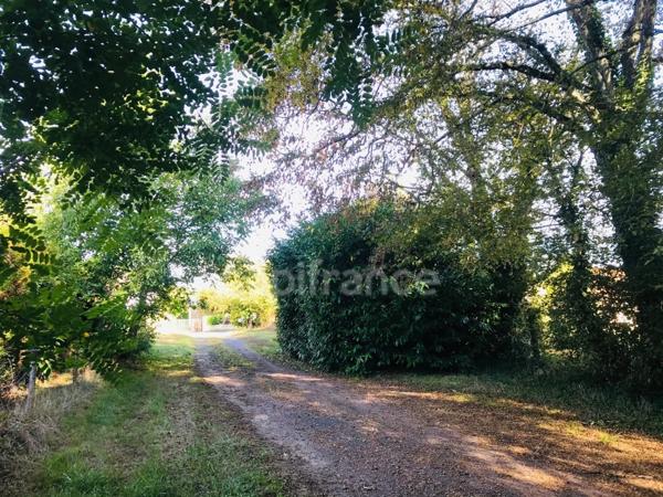 Dpt Cher (18), à vendre LE CHAUTAY terrain constructible 1 hectare