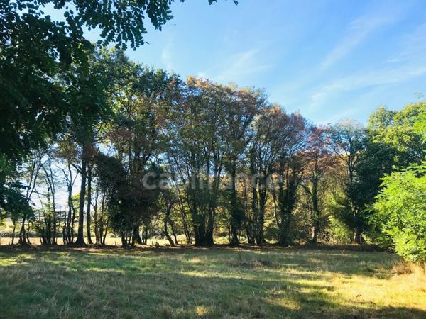 Dpt Cher (18), à vendre LE CHAUTAY terrain constructible 1 hectare