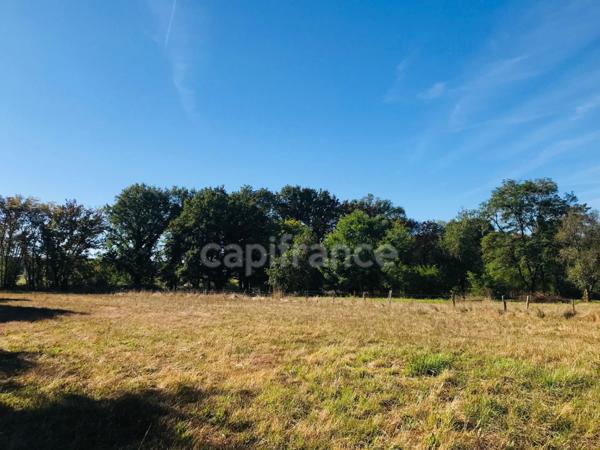 Dpt Cher (18), à vendre LE CHAUTAY terrain constructible 1 hectare
