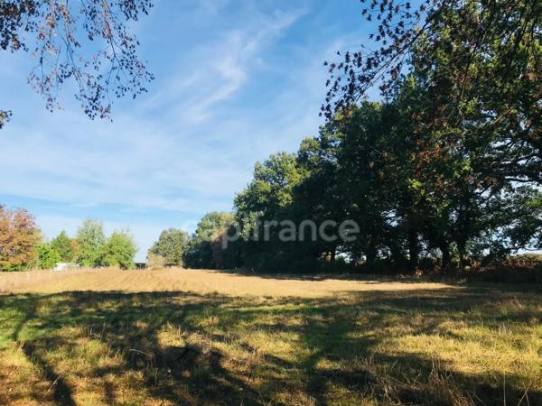 Dpt Cher (18), à vendre LE CHAUTAY terrain constructible 1 hectare