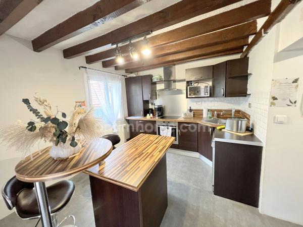 Charmante maison solognote au cœur de Romorantin-Lanthenay, capitale de la Sologne