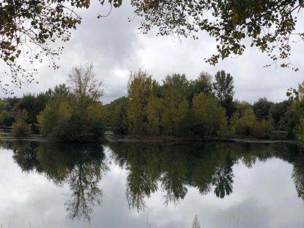 Dpt Hautes Pyrénées (65), à vendre proche de TARBES Complexe Loisir - Tourisme