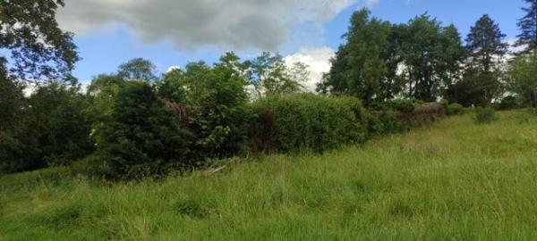 Vente / Terrain constructible