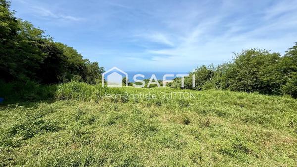 Terrain constructible avec vue mer au Carbet