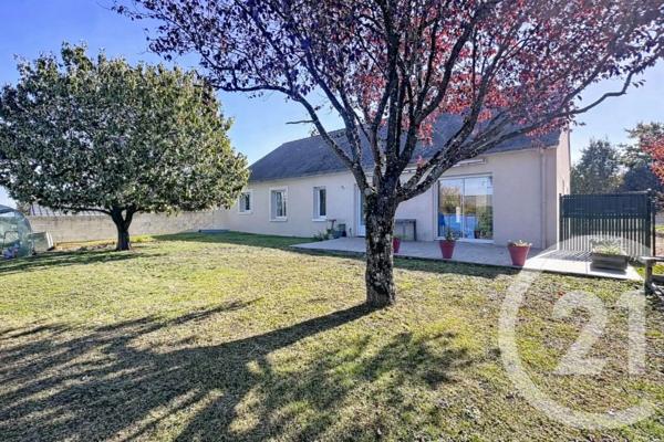 Maison à vendre  10 pièces - 205 m 2   MONTREVAULT SUR EVRE  - 49