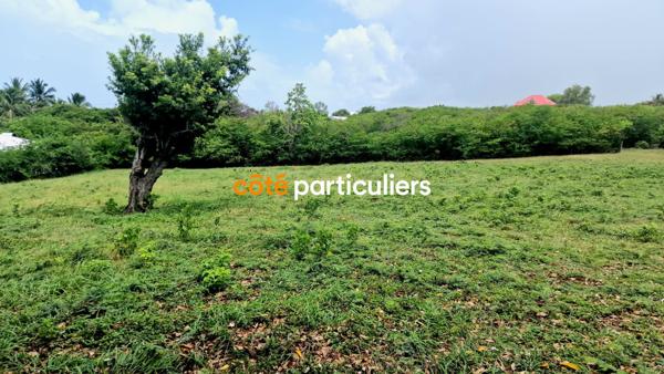 Vente Terrain4151 m² - SAINT FRANCOIS (97118)