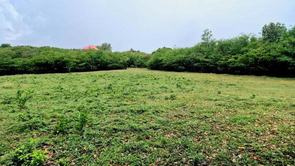 Vente Terrain4151 m² - SAINT FRANCOIS (97118)