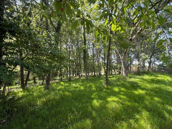 Nogaro(32) 7 km, ANCIENNE METAIRIE GASCONNE, 5 ha, au bout d'un long chemin, CACHEE, SANS VIS A VIS, 5 ha de bois et terres, AU CALME, dépendances, rare