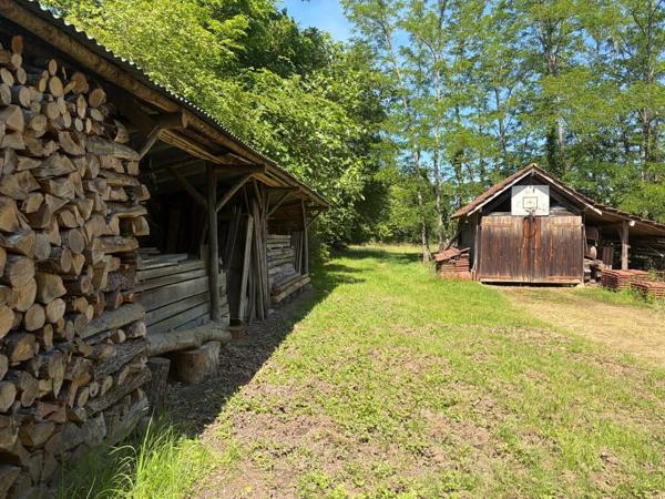 Nogaro(32) 7 km, ANCIENNE METAIRIE GASCONNE, 5 ha, au bout d'un long chemin, CACHEE, SANS VIS A VIS, 5 ha de bois et terres, AU CALME, dépendances, rare