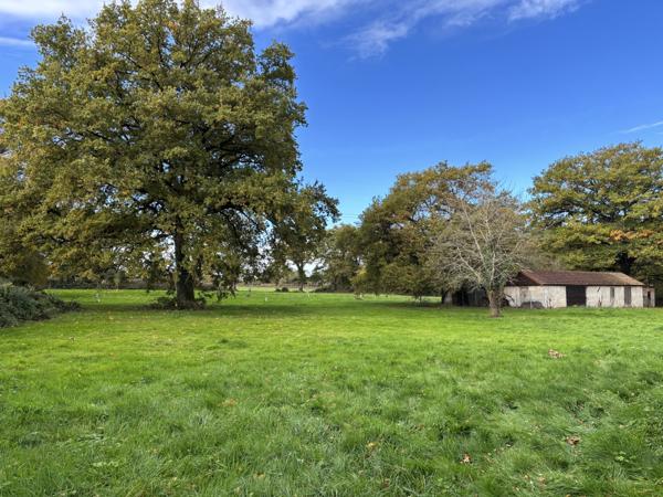 Couleuvre – Maison individuelle sur +/- 5 hectares de terrain privé, entourée par la nature et le calme Couleuvre (03320)