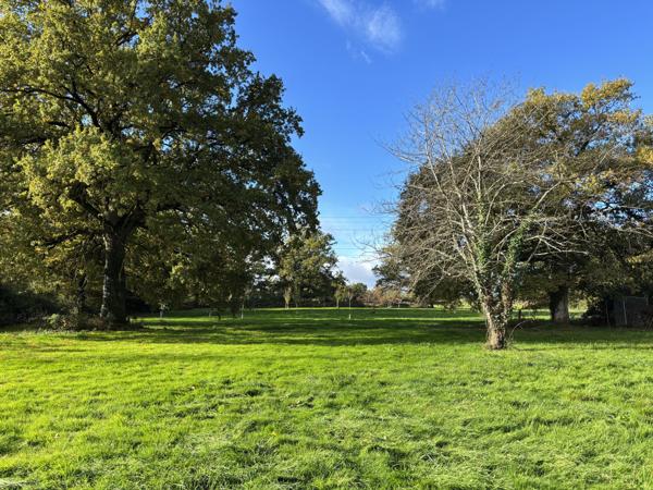 Couleuvre – Maison individuelle sur +/- 5 hectares de terrain privé, entourée par la nature et le calme Couleuvre (03320)