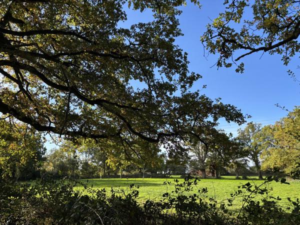 Couleuvre – Maison individuelle sur +/- 5 hectares de terrain privé, entourée par la nature et le calme Couleuvre (03320)