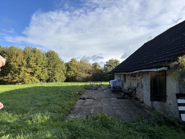 Couleuvre – Maison individuelle sur +/- 5 hectares de terrain privé, entourée par la nature et le calme Couleuvre (03320)