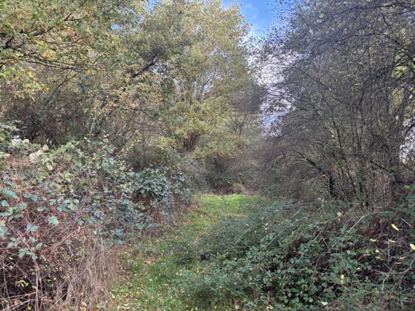 Couleuvre – Maison individuelle sur +/- 5 hectares de terrain privé, entourée par la nature et le calme Couleuvre (03320)