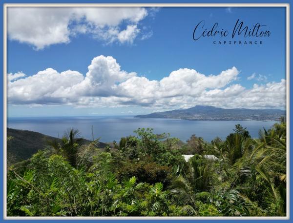Terrain de 1 000 m² vue mer – Anses-d’Arlet, quartier Cocoyers