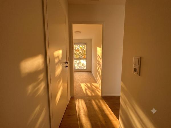 Douceur de Vivre à l'Ombre d'un Sous-Bois