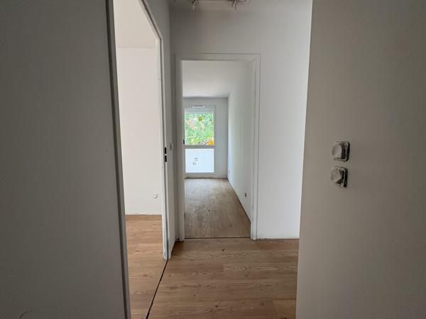 Douceur de Vivre à l'Ombre d'un Sous-Bois