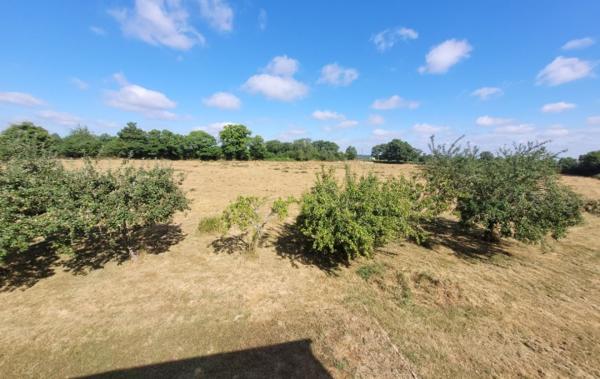 Vente Maison 2 ha terrain Saint-sauvier   