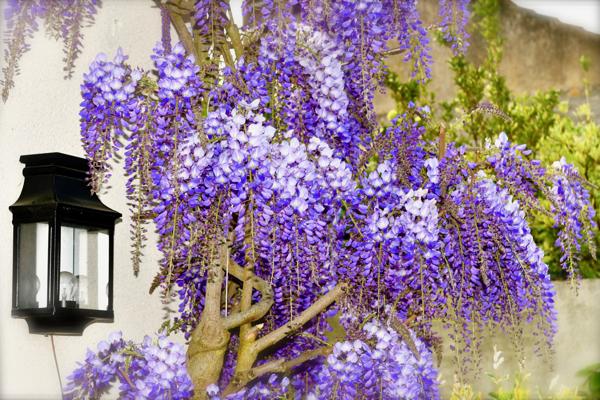 Maison de caractère quartier REPUBLIQUE