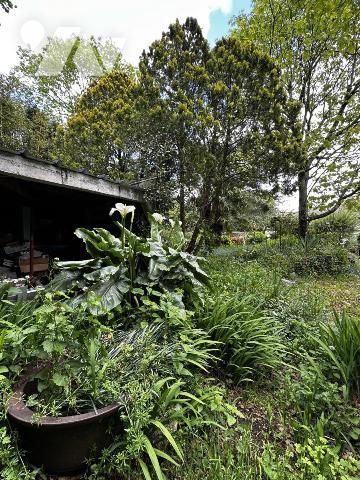 A VENDRE 56 ARRADON CENTRE VILLE A PIED DES COMMERCES JARDIN 1127 m²