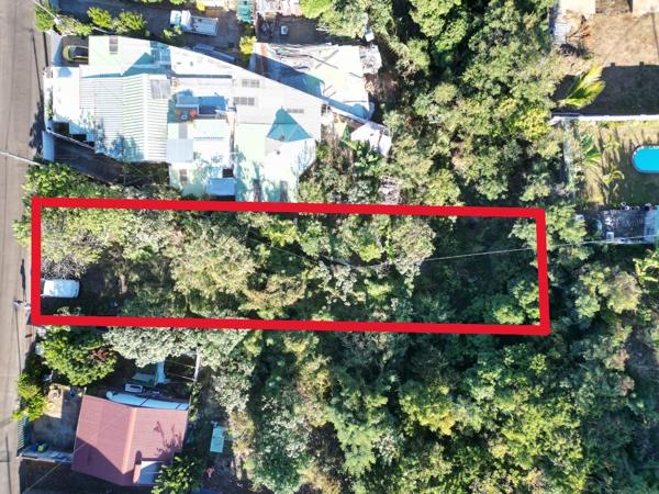 🌟 [OPPORTUNITÉ RARE] Beau terrain plat d'environ 930 m² à Piton Saint-Leu – Idéal Particuliers & Investisseurs 🌟