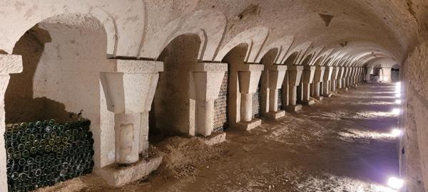 MANOIR A LA CHARTRE SUR LE LOIR  ET SES CAVES EXCEPTIONNELLES
