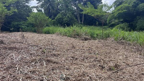 Achat vente Terrain constructible Le lamentin