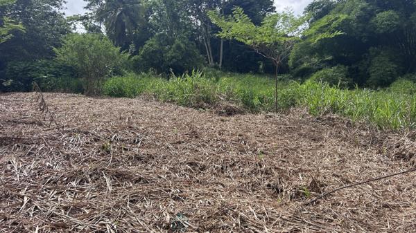 Achat vente Terrain constructible Le lamentin